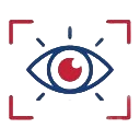 Vision